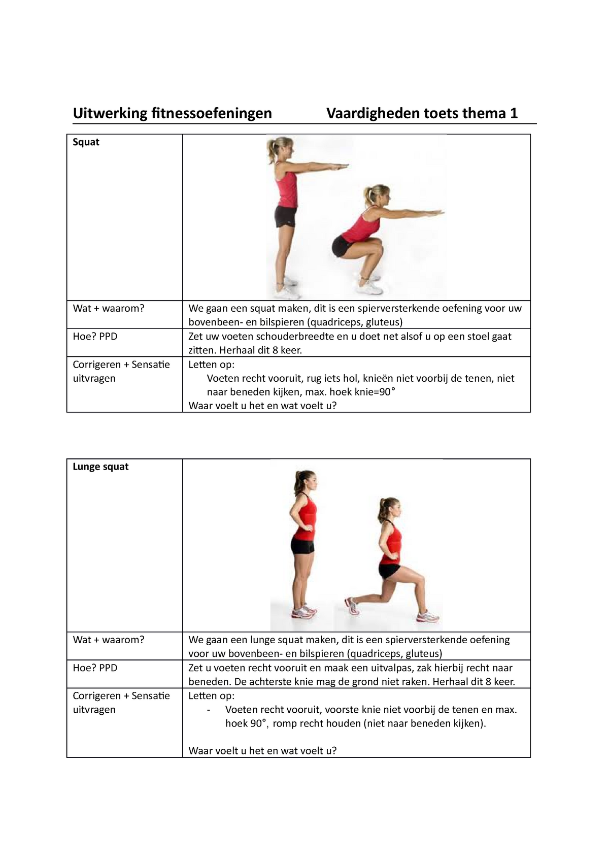 moe Konijn test Uitwerking fitnessoefeningen Vaardigheden toets thema 1 volledig -  Uitwerking fitnessoefeningen - Studeersnel