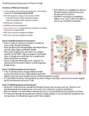 Oncogenetics - A summary on the cell cycle, oncogenes and tumour ...