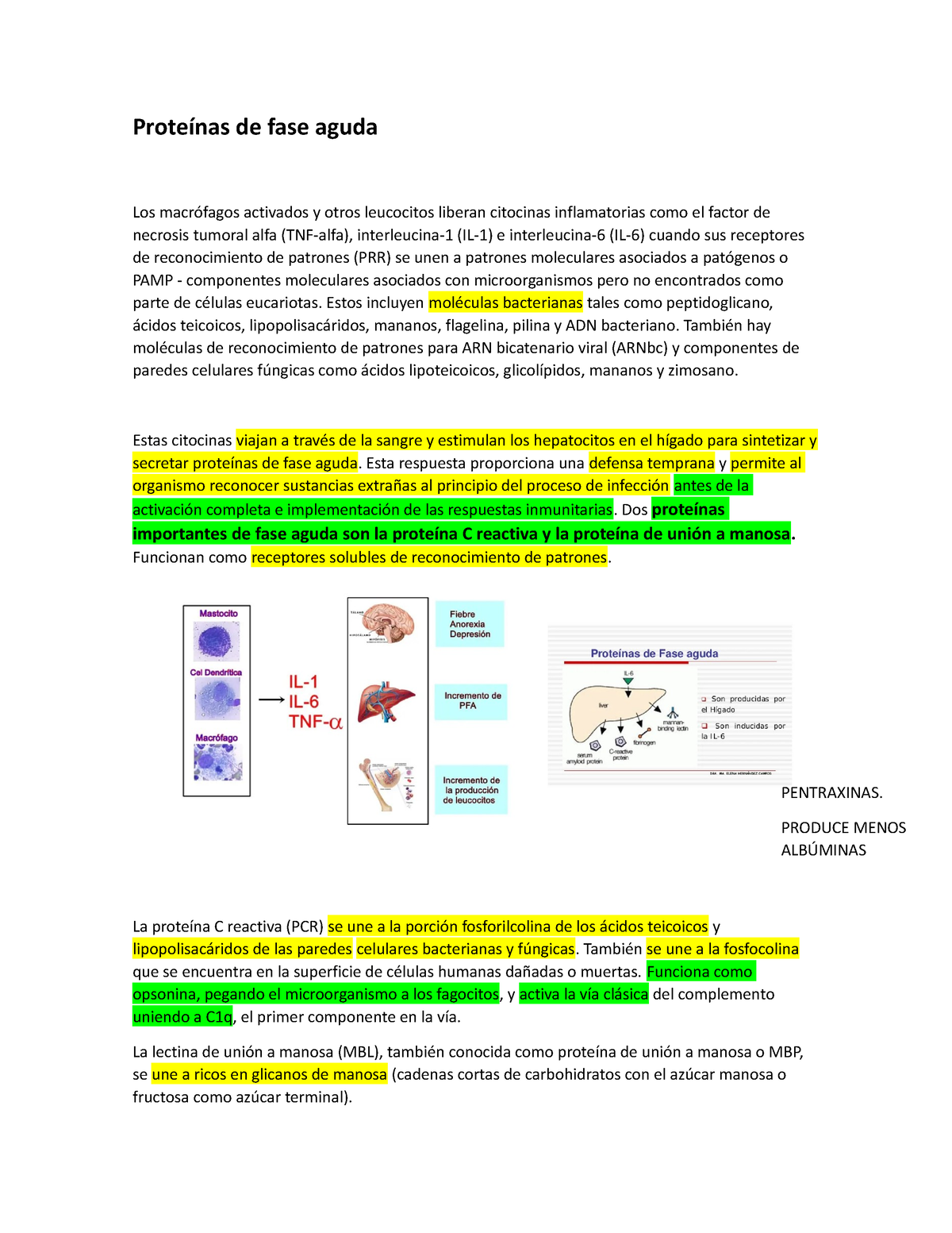 Proteínas De Fase Aguda Proteínas De Fase Aguda Los Macrófagos Activados Y Otros Leucocitos 6568