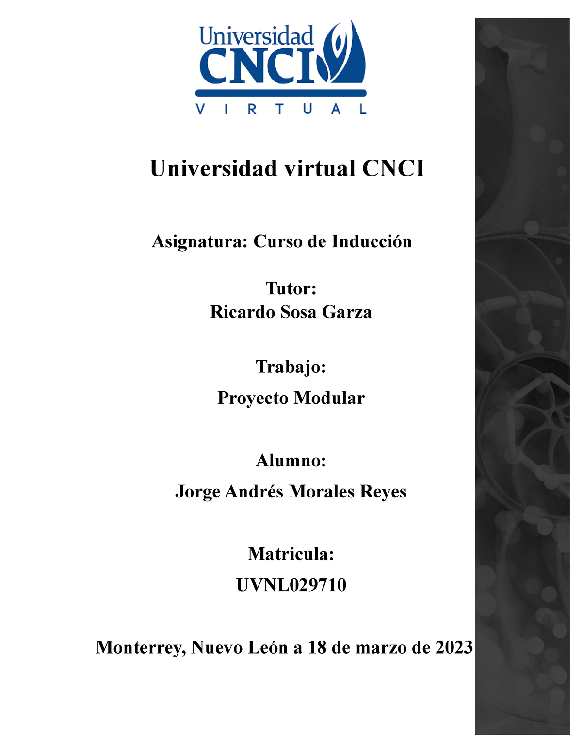 Universidad Virtual CNCI Actividad 1 Curso De Induccion - Universidad ...