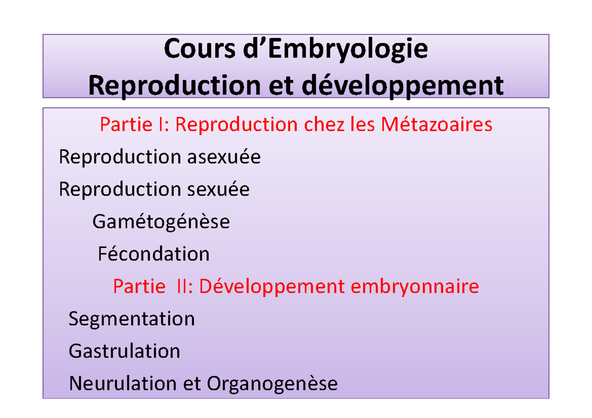 Cours S1 spermatogenèse - Cours d’Embryologie Reproduction et ...