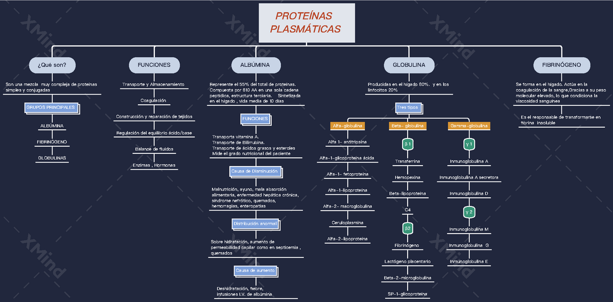 Mapa Conceptual De Proteinas Plasmaticas Porn Sex Picture 2668