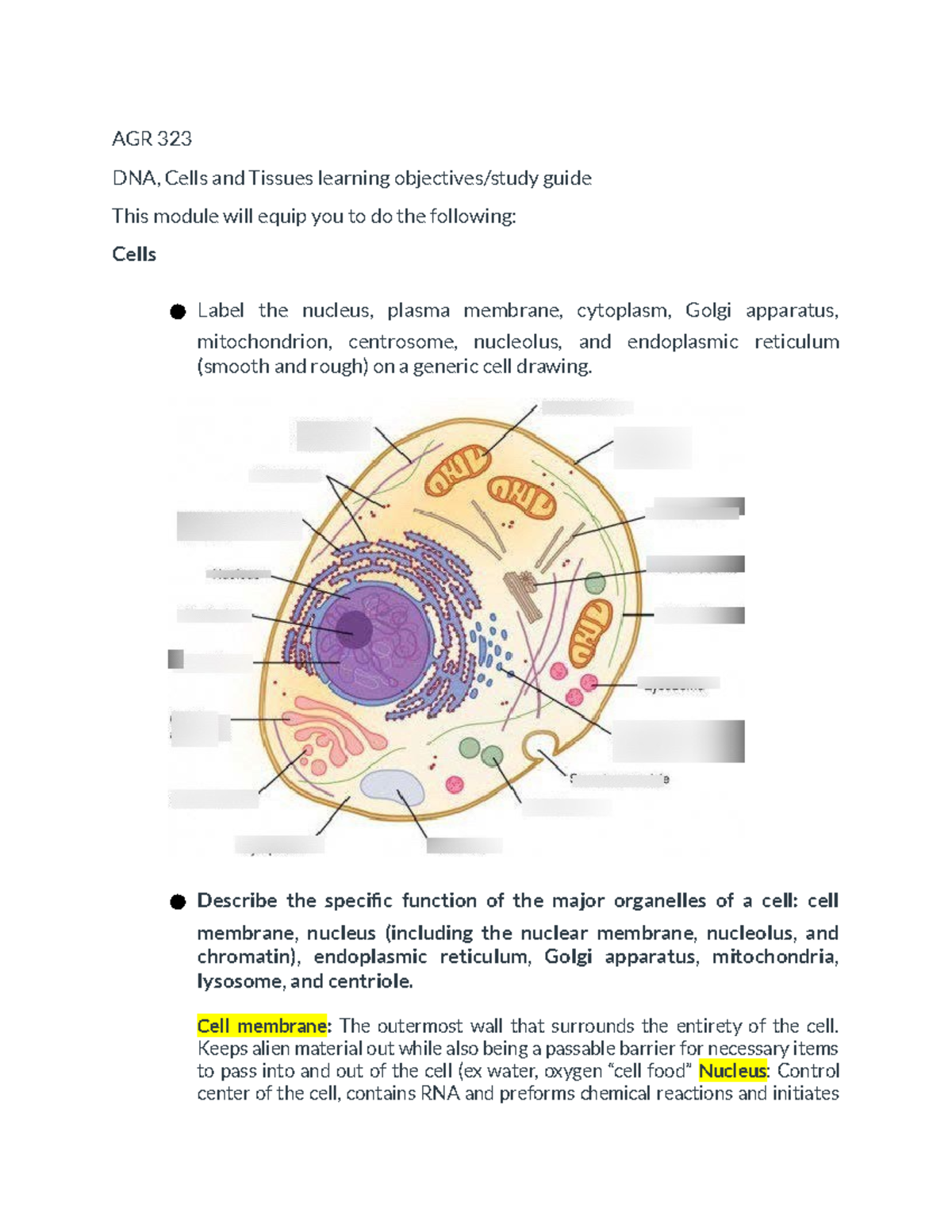 AGR 323, Unit 1, learning objectives for cells tissues DNA - AGR 323 ...