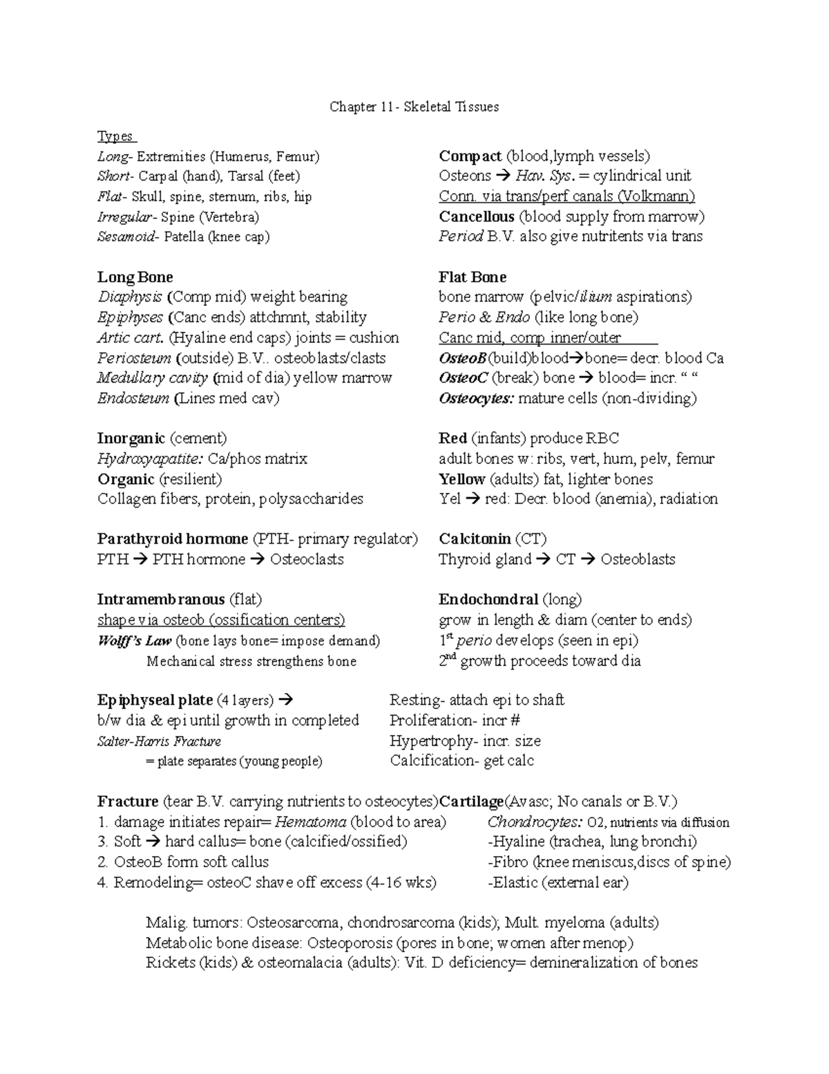 Exam 3 (Ch. 11-17) - AP LECTURE NOTES - Chapter 11- Skeletal Tissues ...