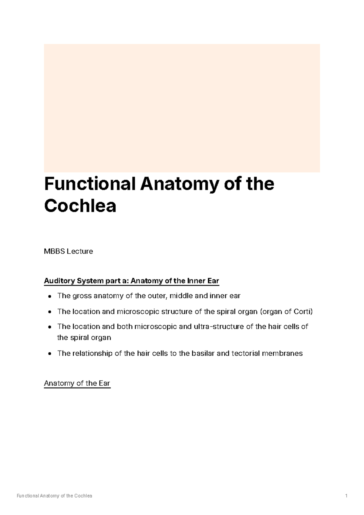 Cochlea Anatomy - Functional Anatomy of the Cochlea MBBS Lecture ...