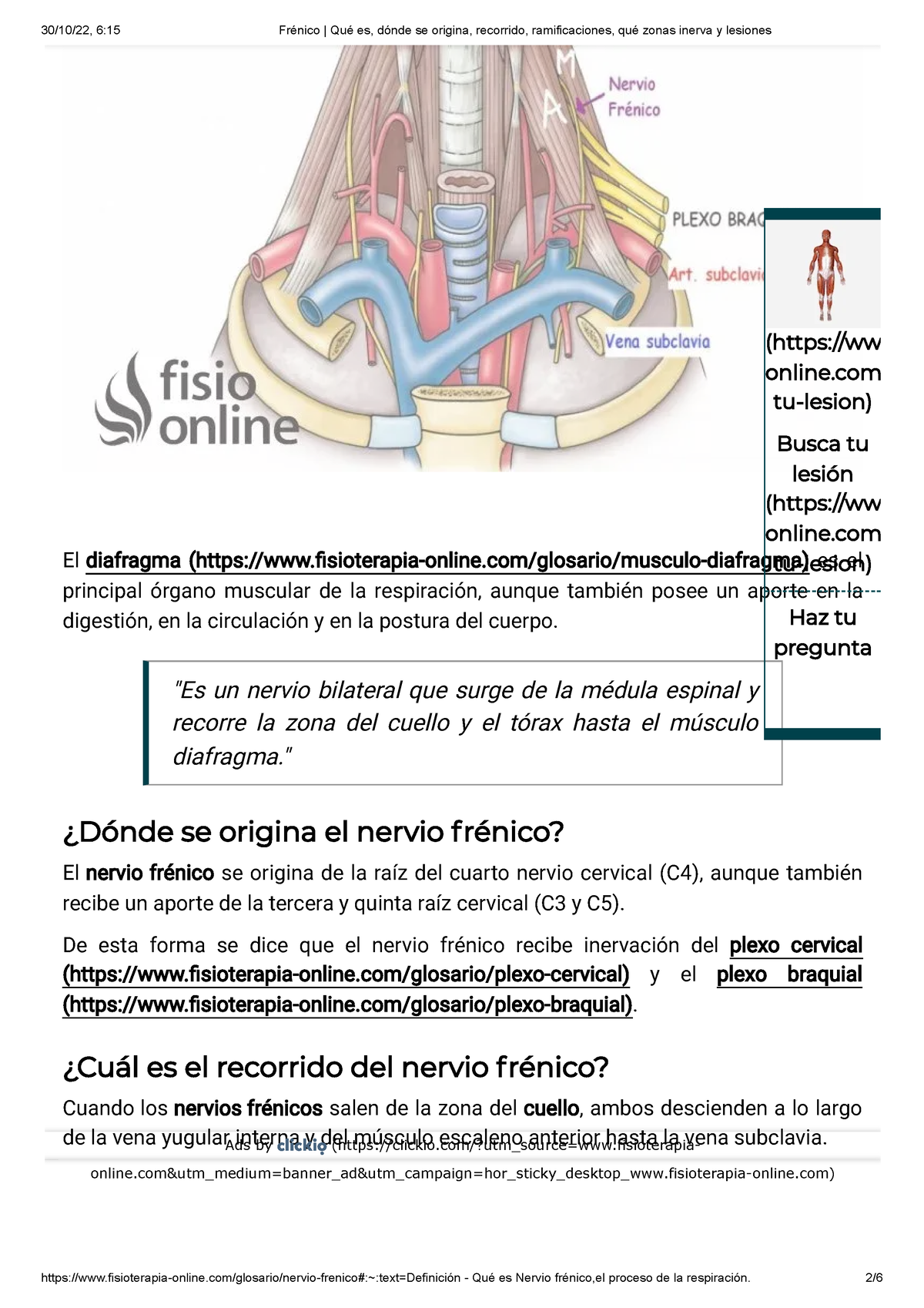 Frénico Qué Es Dónde Se Origina Recorrido Ramificaciones Qué Zonas Inerva Y Lesiones 3010 2431