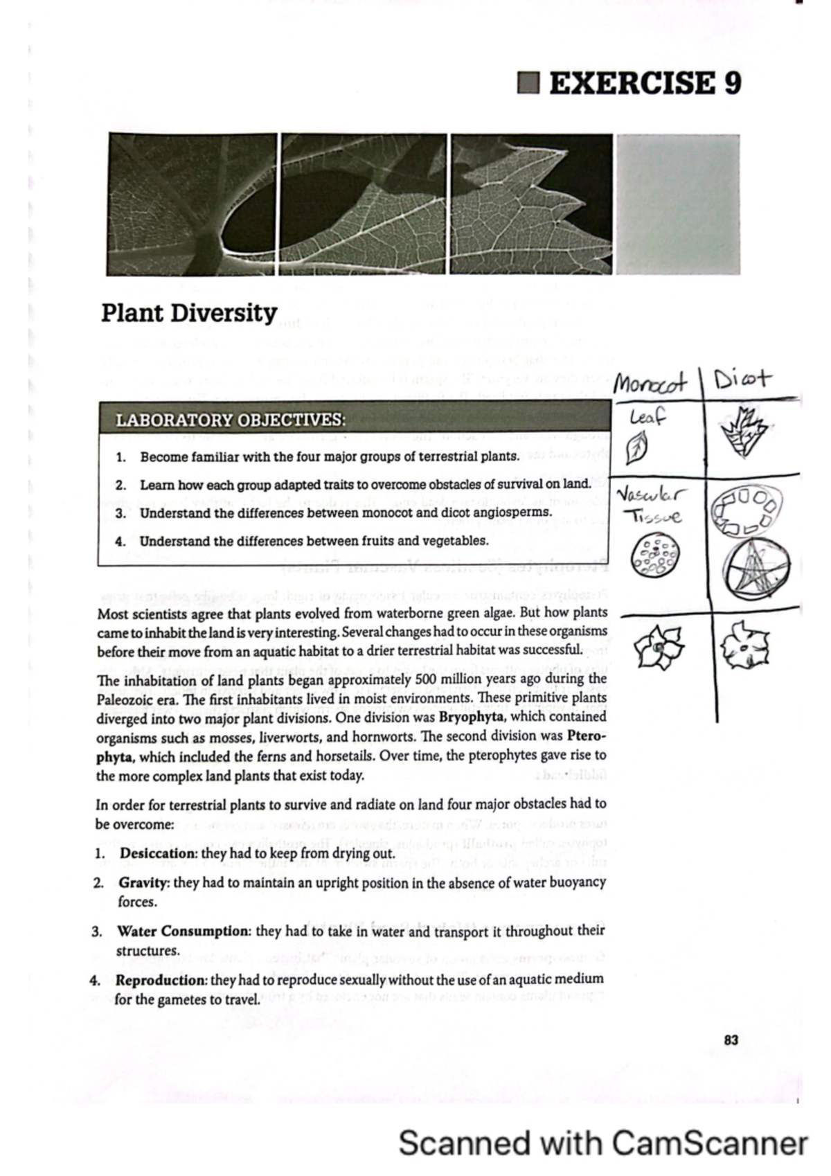 Plant Diversity Lab Manual - BSC 1005L - Studocu