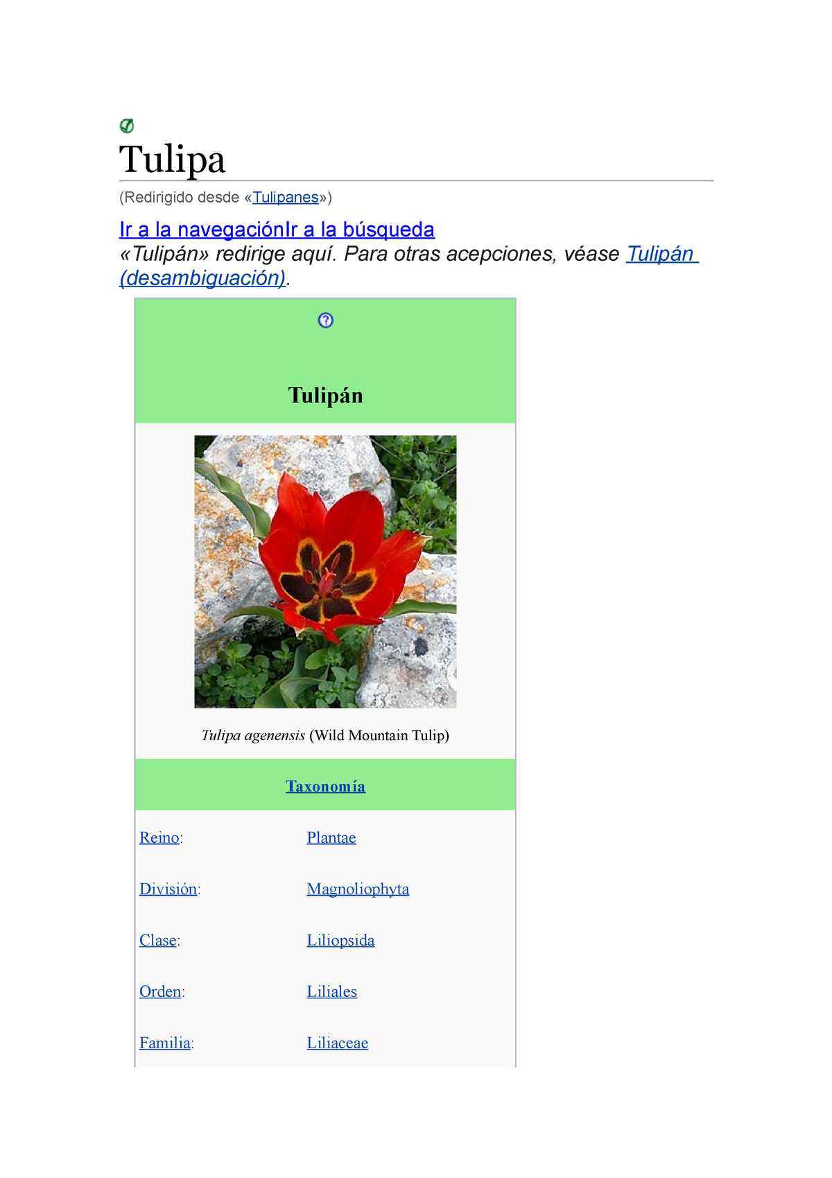 Tulipan - Tulipa (Redirigido desde «Tulipanes») Ir a la navegación Ir a la  búsqueda «Tulipán» - Studocu