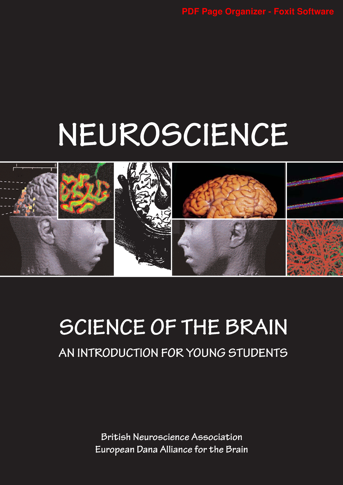 Neuroscience.Science.of - NEUROSCIENCE SCIENCE OF THE BRAIN AN ...