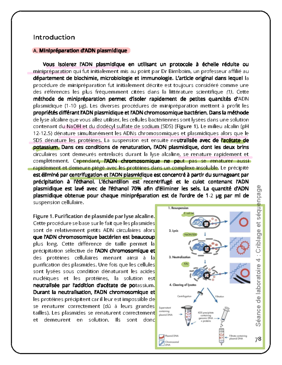 L4 Intro 2 - NOTE POUR FINAL EXAM LAB 4 - Séance de laboratoire 4 ...