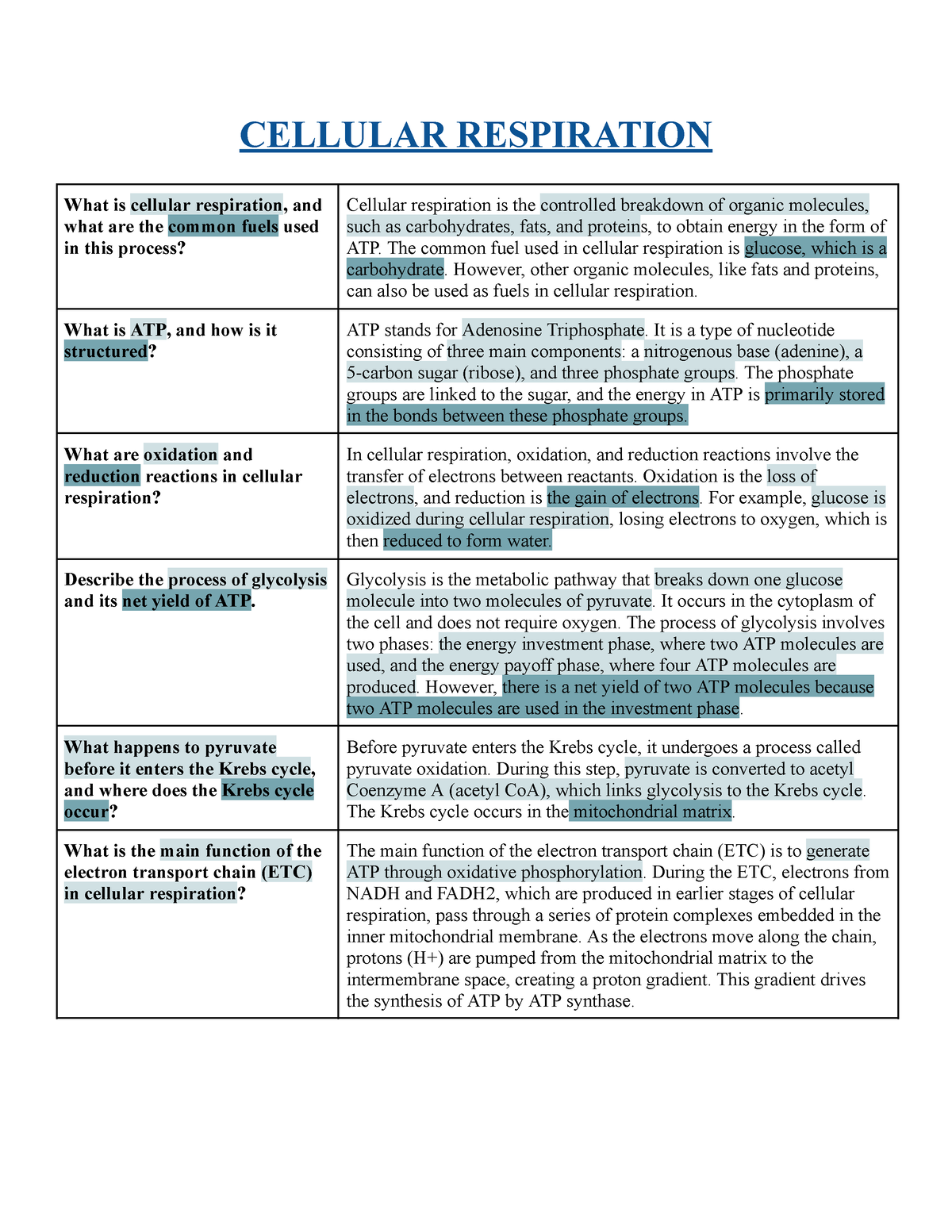 Cellular Respiration - CELLULAR RESPIRATION What is cellular ...