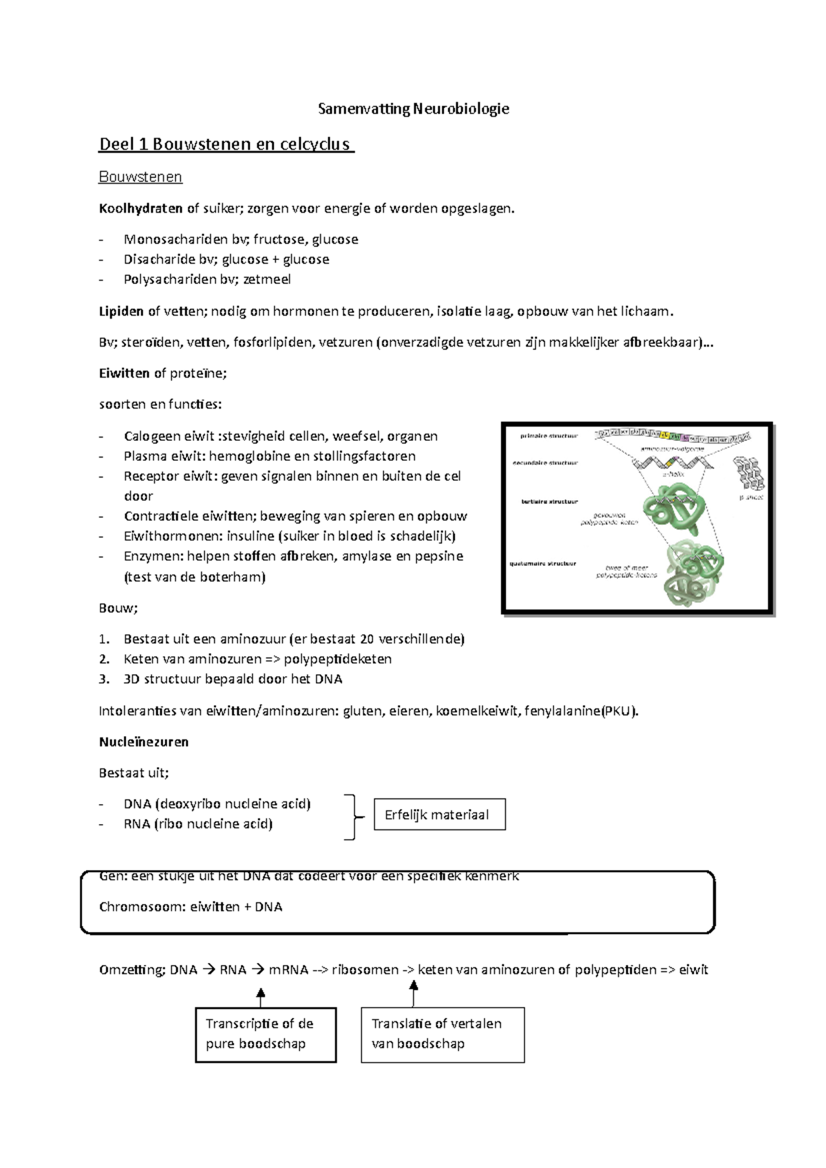 Samenvatting Biologie - Samenvatting Neurobiologie Deel 1 Bouwstenen En ...