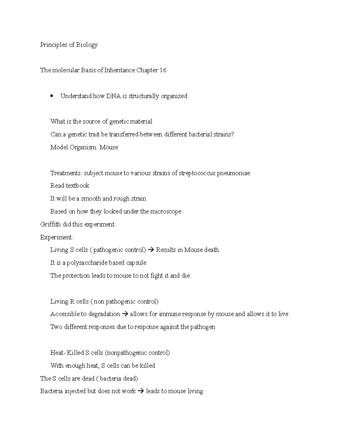 The molecular basis of inheritance Chapter 16 - Principles of Biology ...