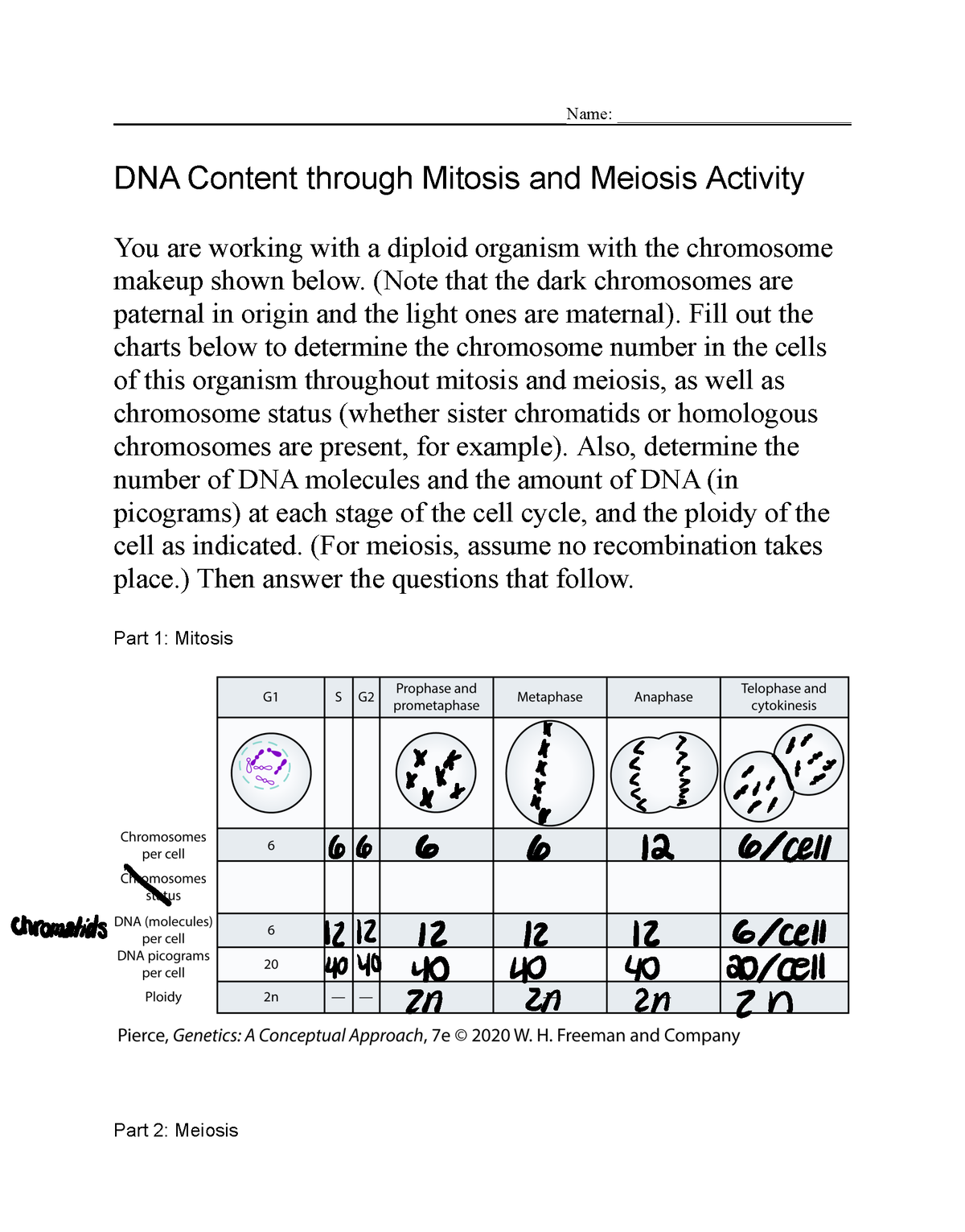 Review Worksheet 1 - Foundations Of Biology For Biomedical Sciences I ...