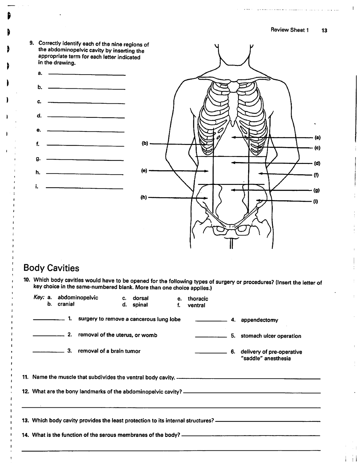 Chap 1 handout 3 - HAN 200 - Studocu