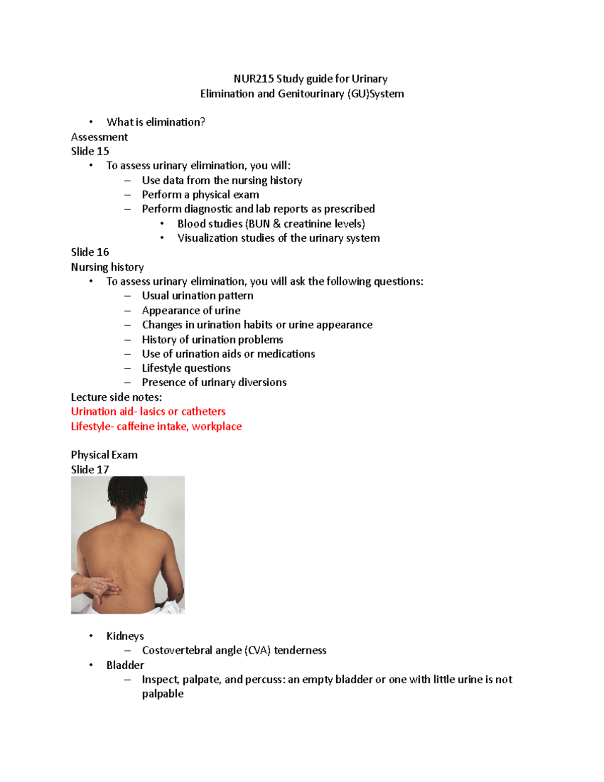 NUR215 Study Guide For Urinary- Elimination And Genitourinary (GU ...