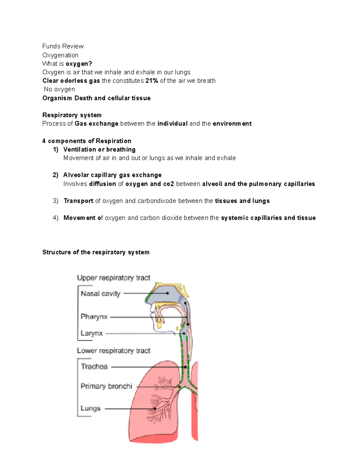 Medsurg 1 sent - content - Funds Review Oxygenation What is oxygen ...