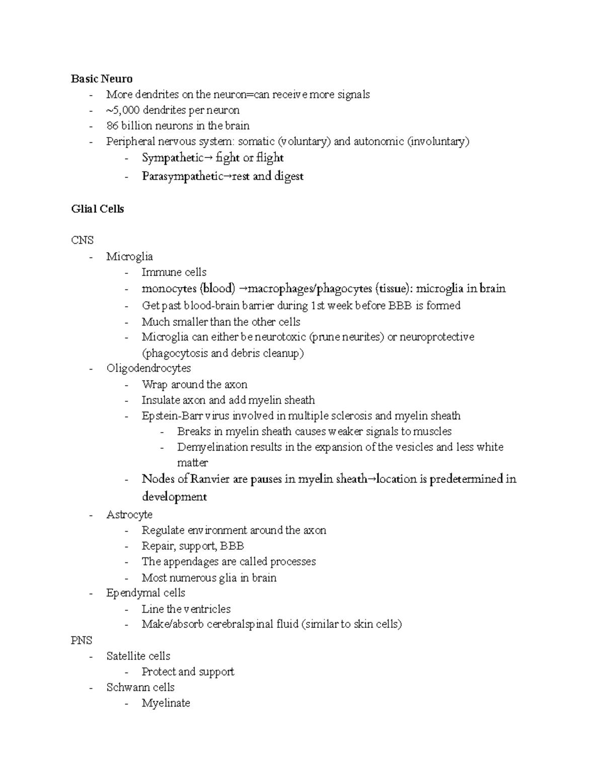 Quiz 1 Study Guide - neuron morphology, histology, evolution ...