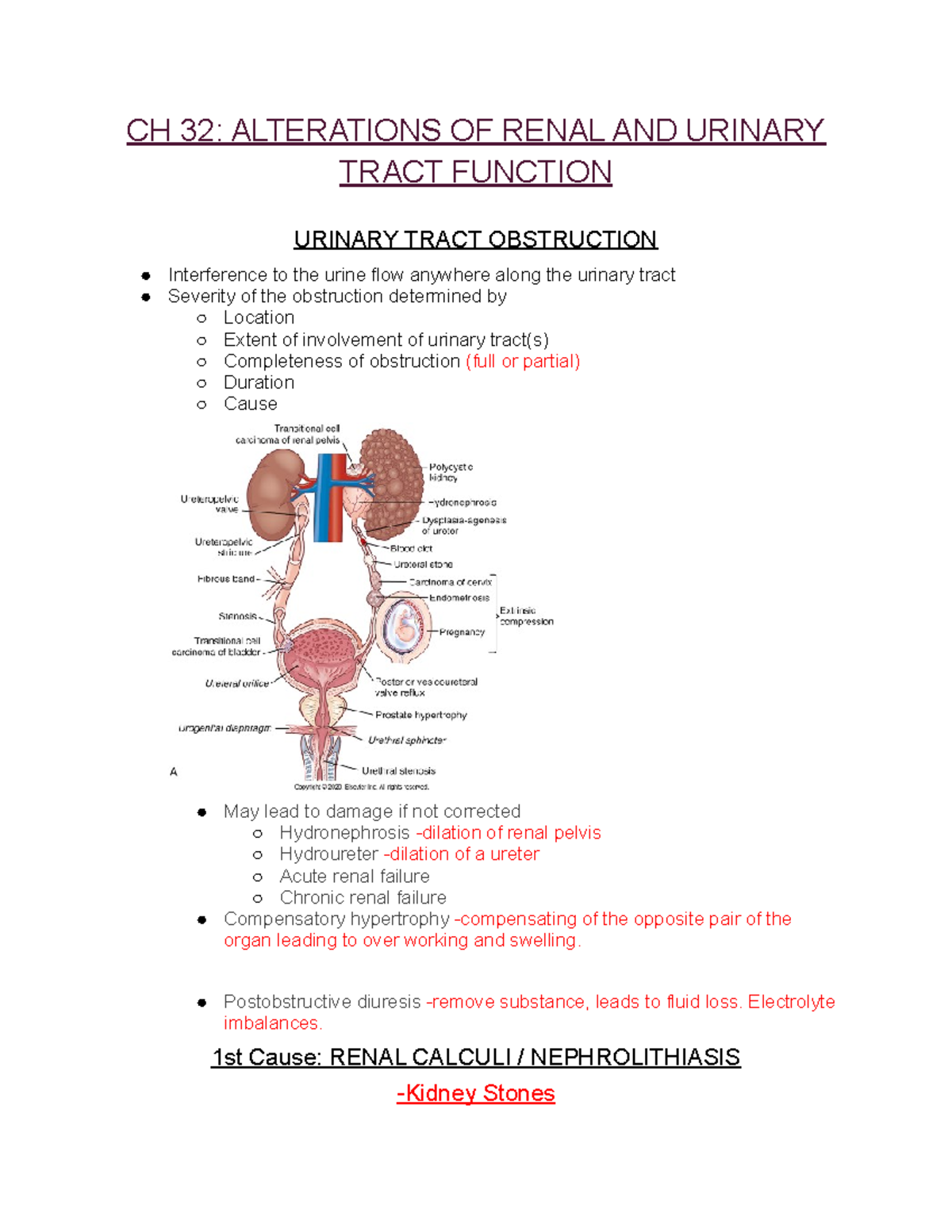 CH 32 Alterations OF Renal AND Urinary Tract Function - CH 32 ...