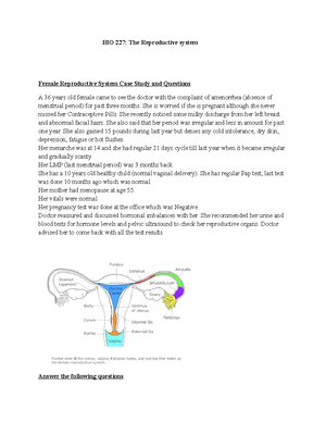 Anatomy Of The Respiratory System Review Sheet Exercise 36 - Biology 