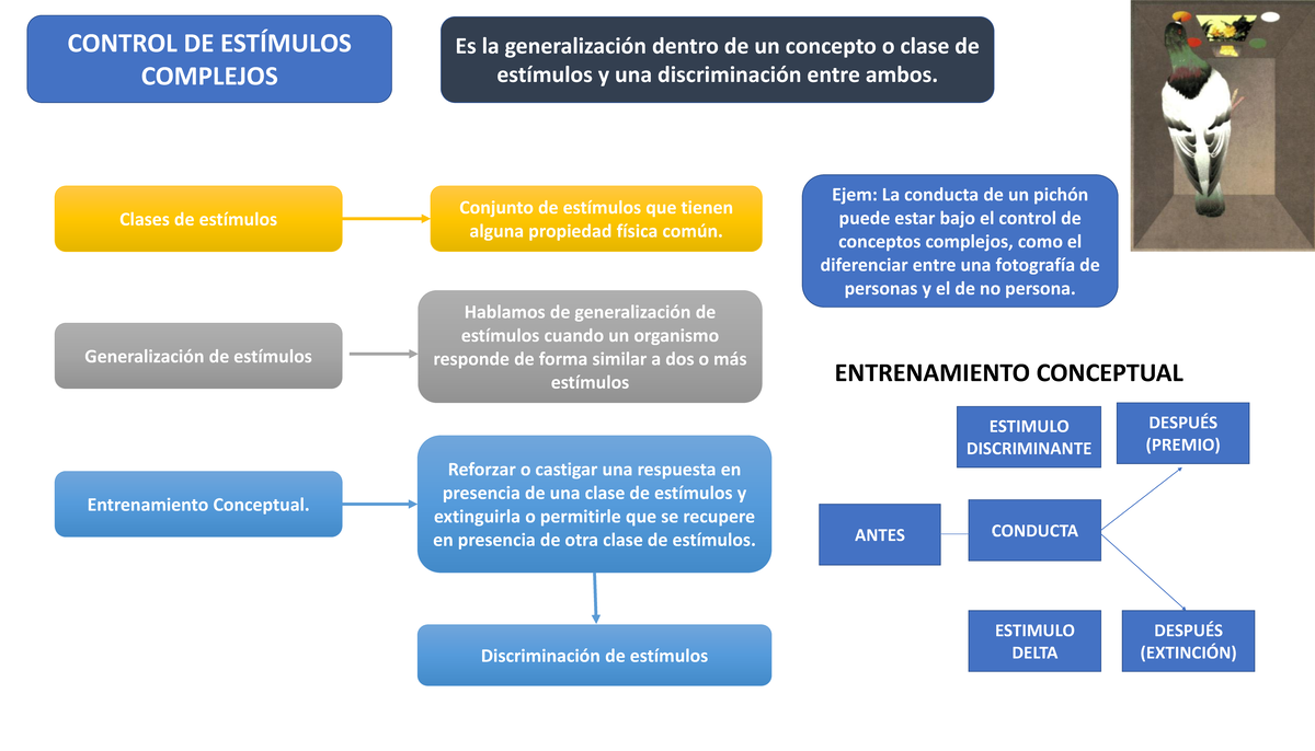 Organizador Visual- Control Estimulso Complejos - CONTROL DE ESTÍMULOS ...