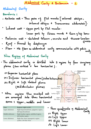 Endocrine System - BIOL 326 (A & P II) - Prof: Dr. Vesanen - Spring ...