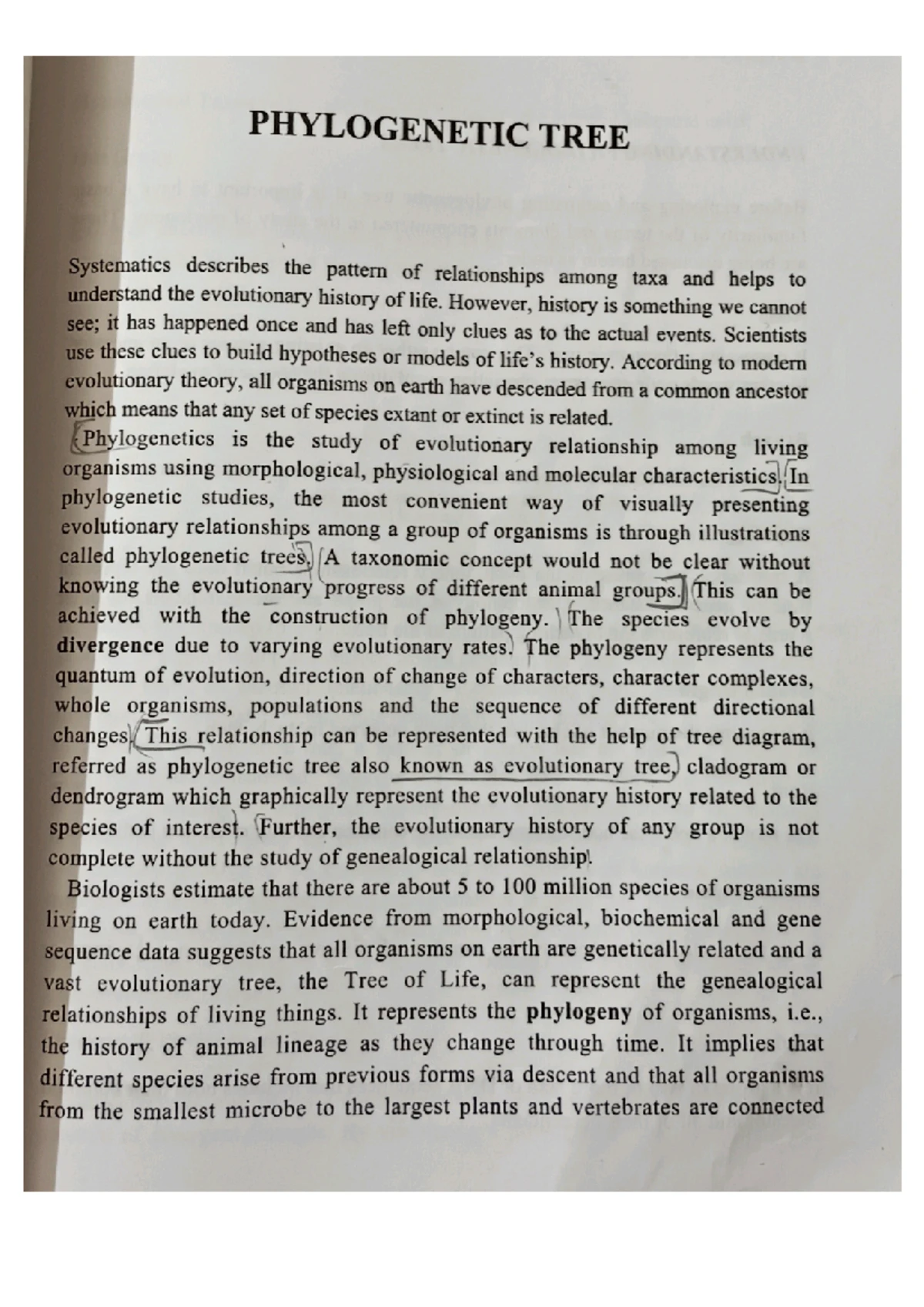 origin of prokaryotes and eukaryotes - PROGENOTE: The progenote, last ...