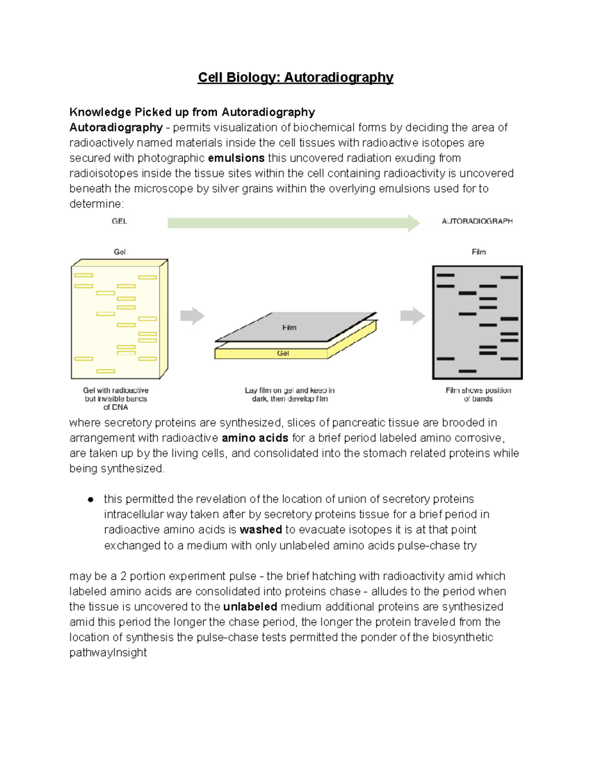 Cell Biology Autoradiography Cell Biology Autoradiography Knowledge