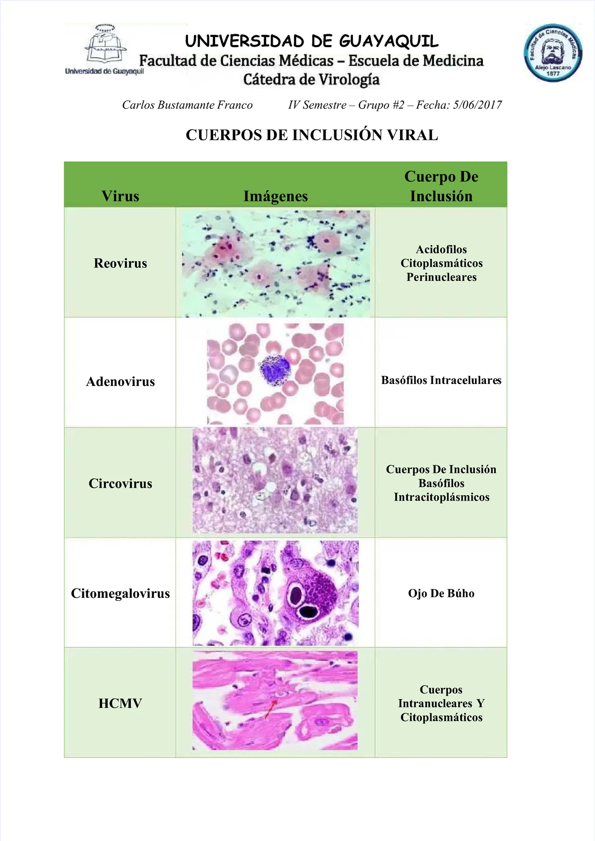 Cuerpos De Inclusión Viral CLASES DE VIROLOGIA - Universidad de ...