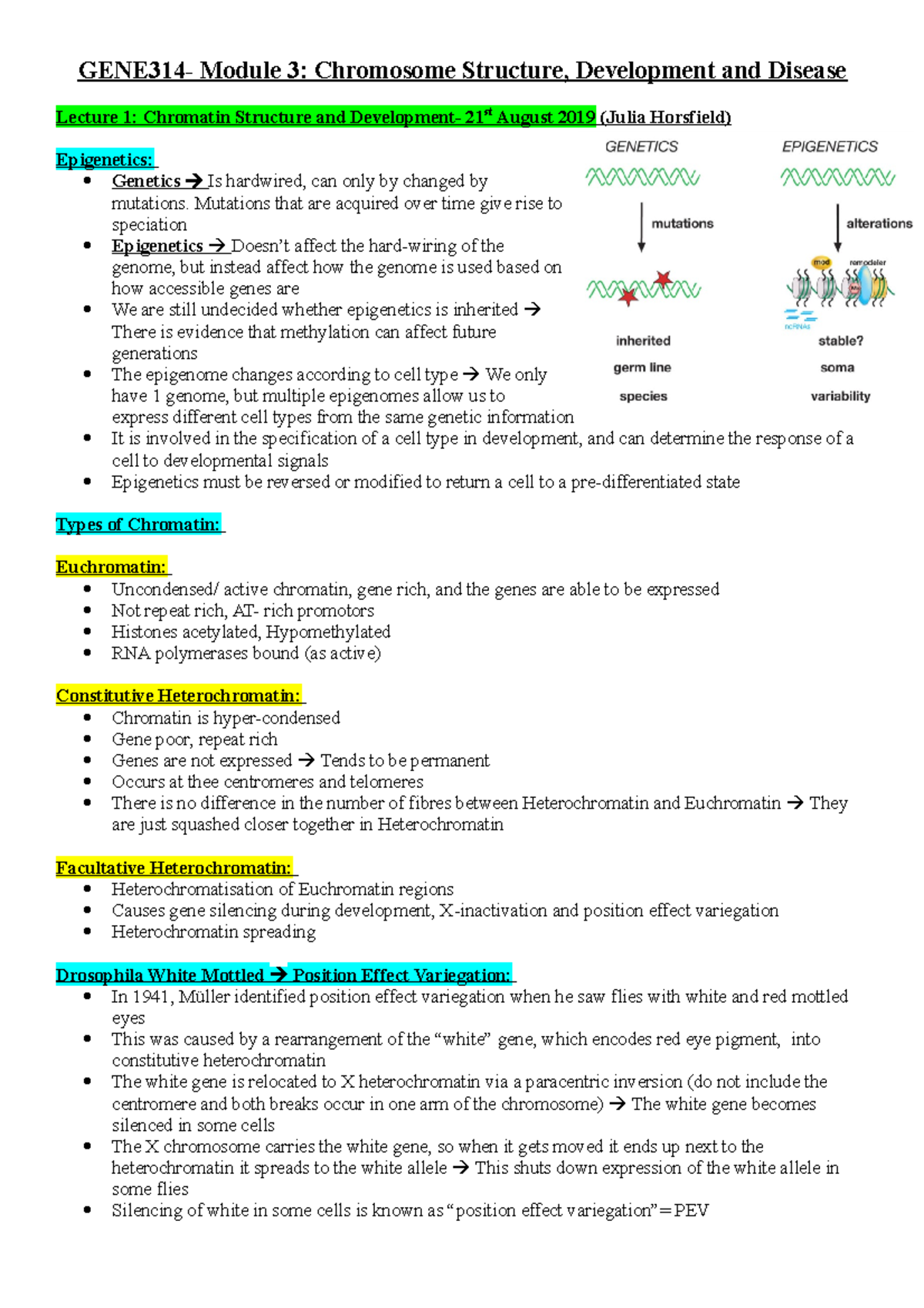 GENE314 Module 3 - Lecture notes 15-20 - GENE314- Module 3: Chromosome ...