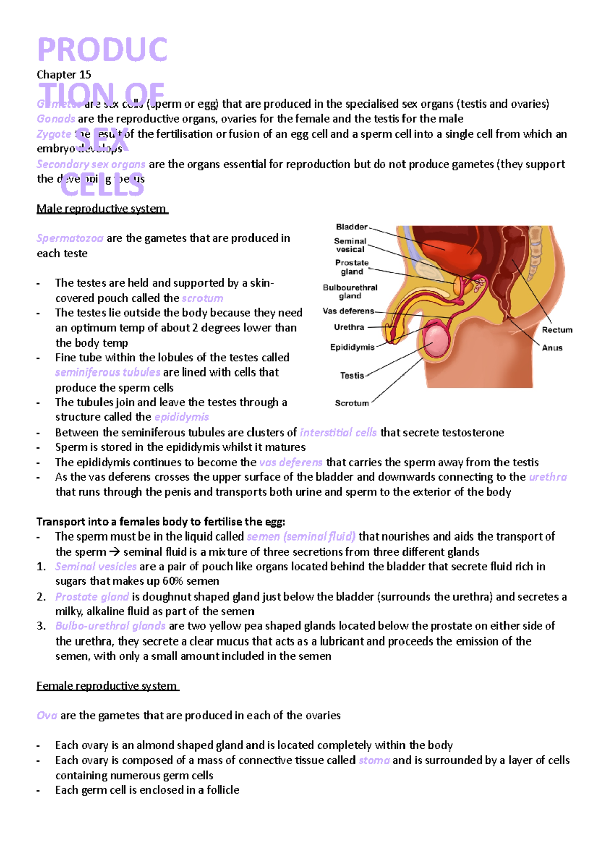 Production of sex cells - Chapter 15 Gametes are sex cells (sperm or ...