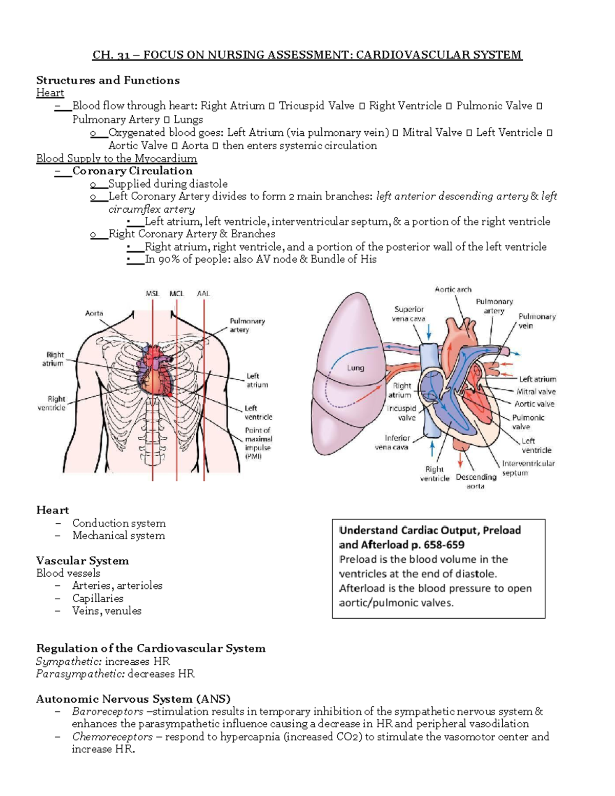 Cardiovascular Lecture Notes - CH. 31 – FOCUS ON NURSING ASSESSMENT ...