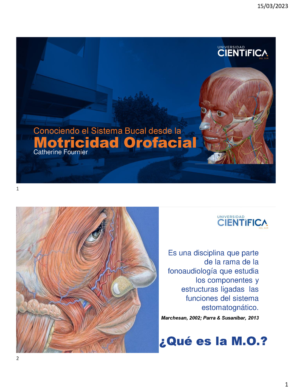 Materiales Y Resistencia De Motricidad - Motricidad Orofacial ...