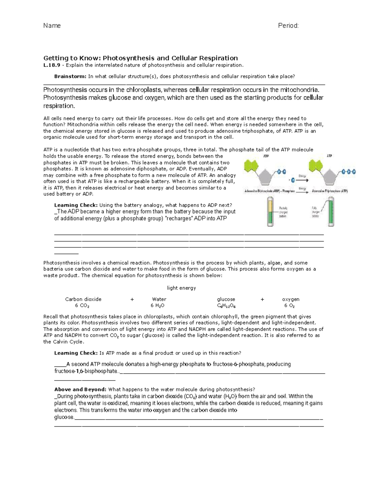 Cellular Respiration and Photosynthesis Review - Name Period: Getting ...
