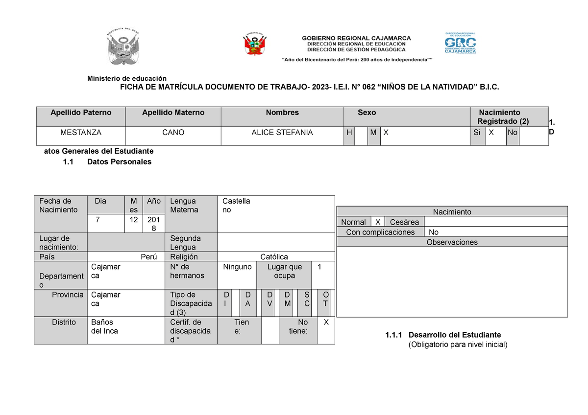 Ficha DE Matrícula Documento DE Trabajo- 2023- Stefania - FICHA DE ...