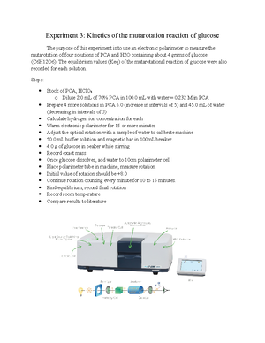 Data in word and Excel Pre assignment NO Credit Beyond DUE DATE - Name ...