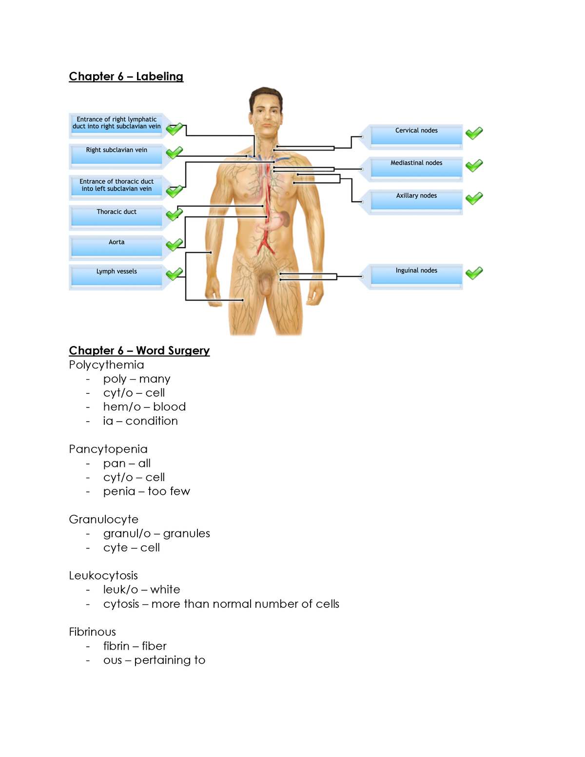 medical terminology unit 2 assignment human body map
