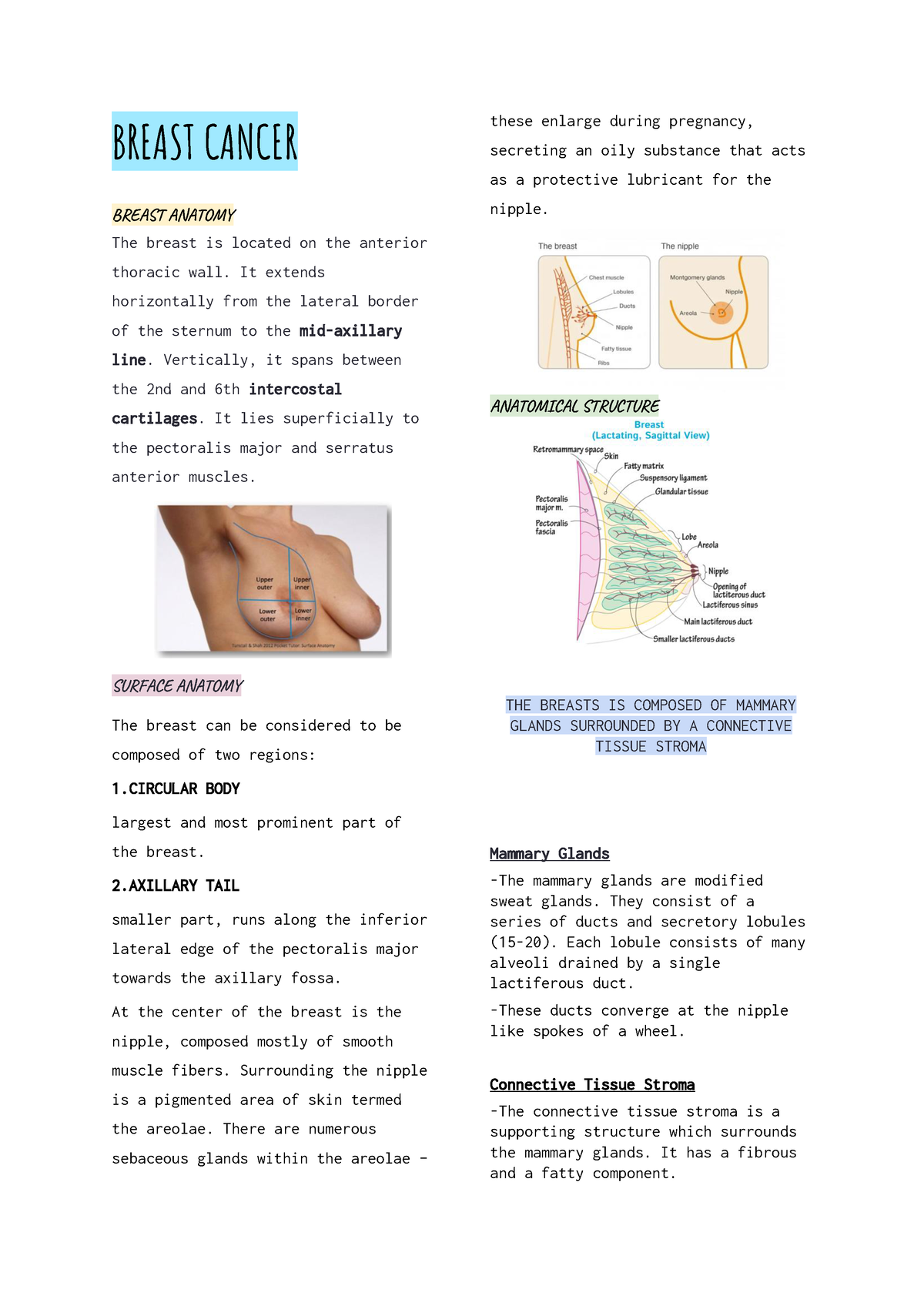 INGLES MEDICO SEMANA 1 - BREAST CANCER BREAST ANATOMY The breast is located  on the anterior thoracic - Studocu