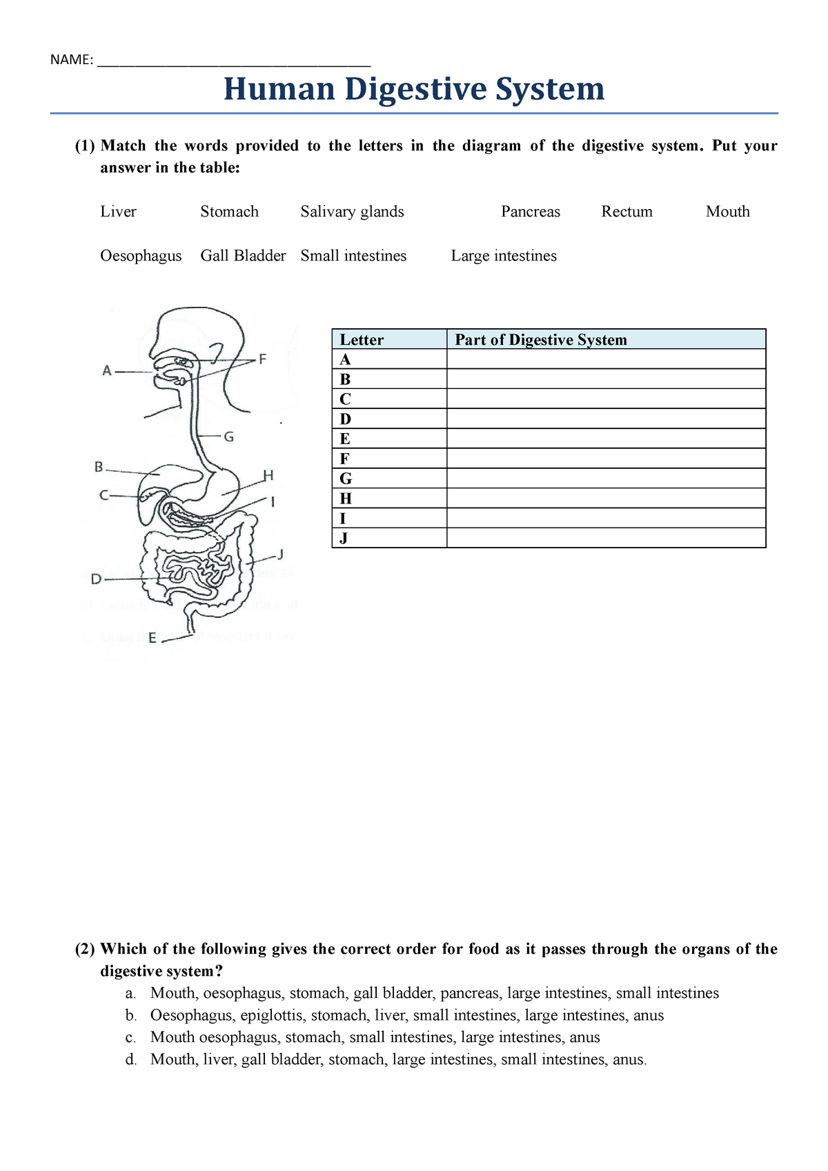 Aim C21 Structure of the Digestive System Worksheet - Biology Intended For Digestive System Worksheet Answers