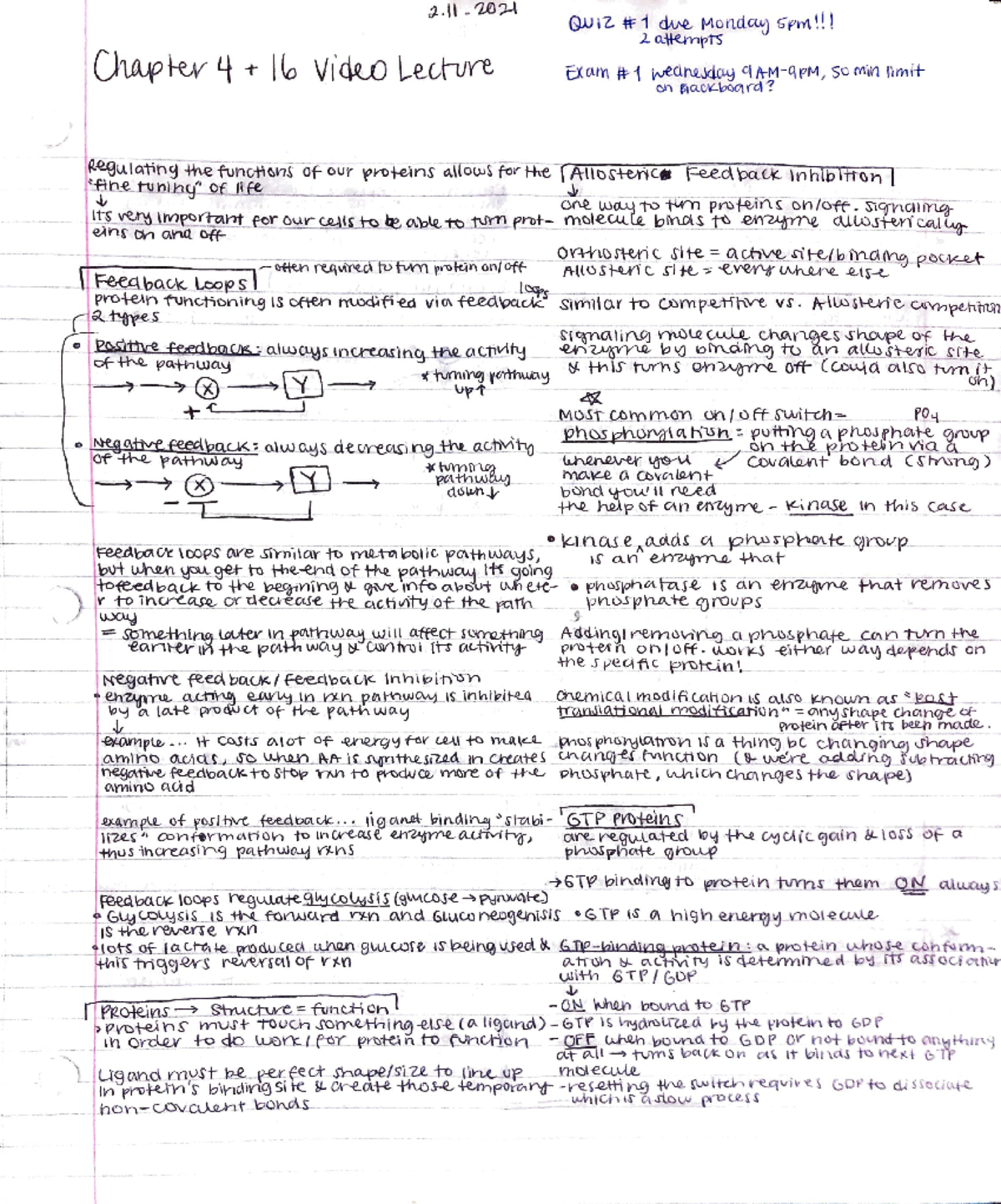 Cell Biology Lecture Notes for Chapters 4 and 16 - BIOL 300 - Studocu