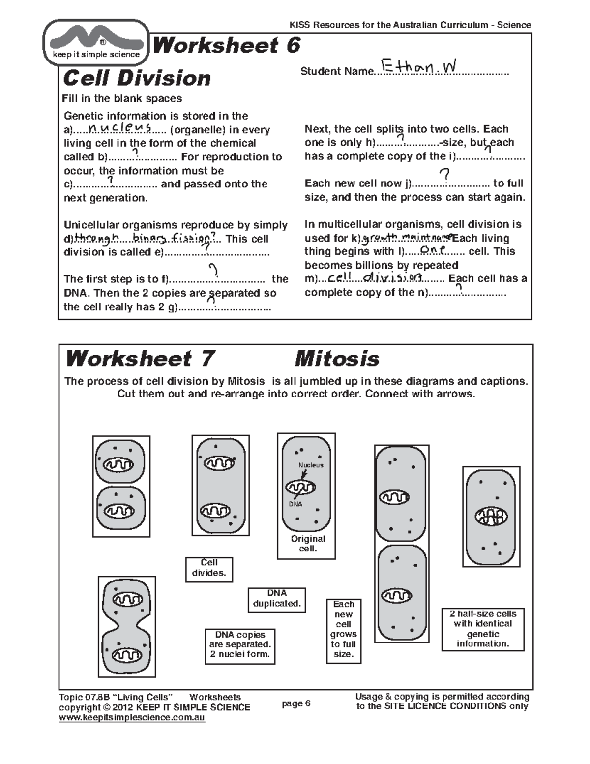 Cells+Worksheet+6+%26+7 - page 6 Usage & copying is permitted according ...