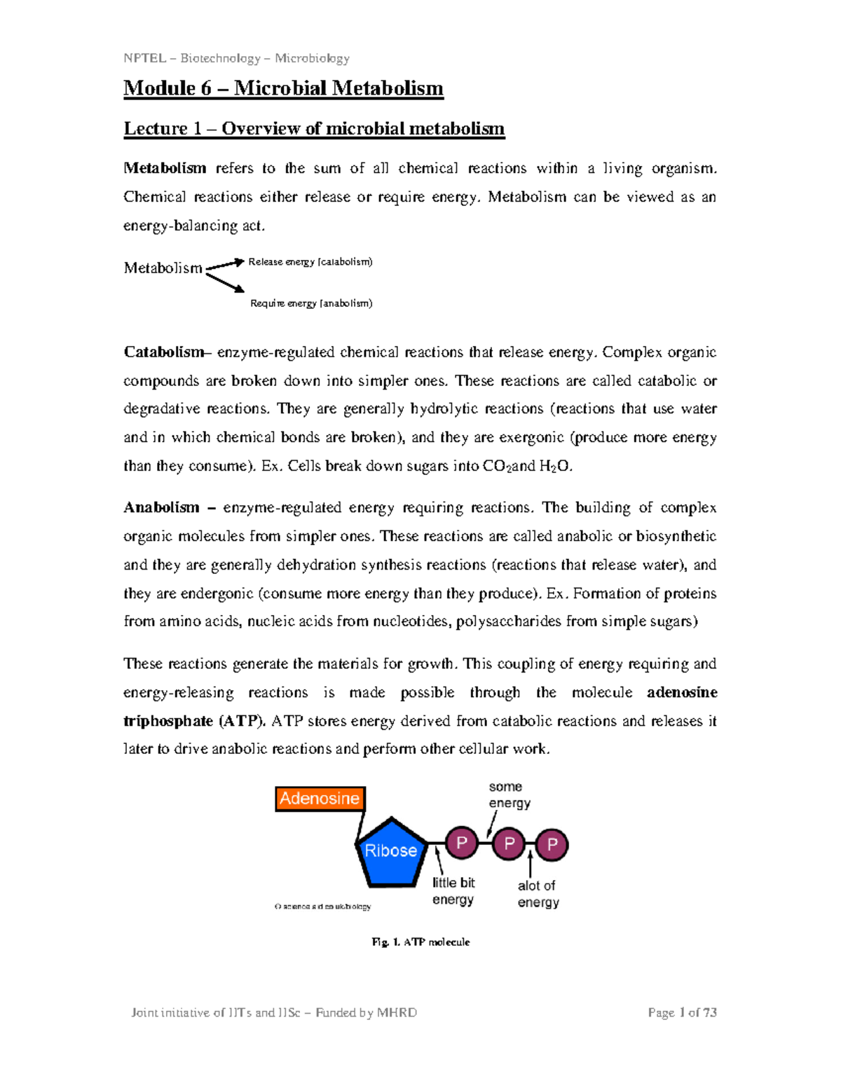 Microbial Metabolism NPTEL Biotechnology Microbiology Module 6