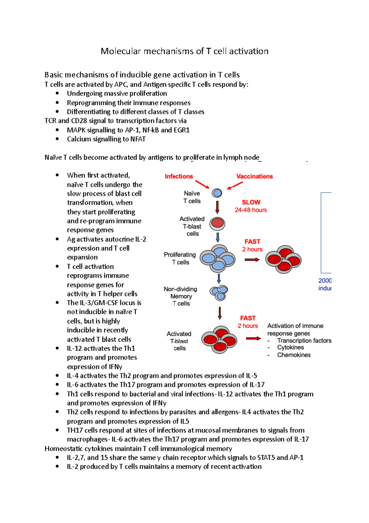 Molecular Mechanisms Of T Cell Activation Also Use PMA Which Is An   Thumb 1200 1698 