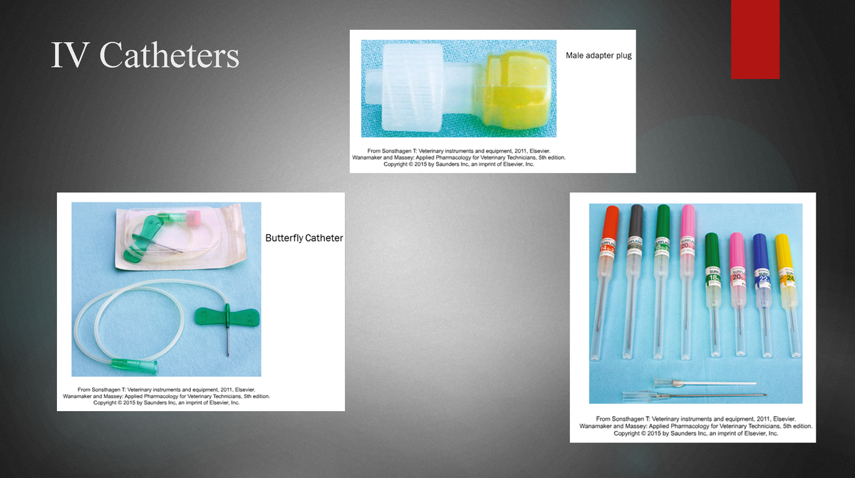 Pharmacology 1 - IV Catheters IV Catheters Inhalation • Inhalation ...