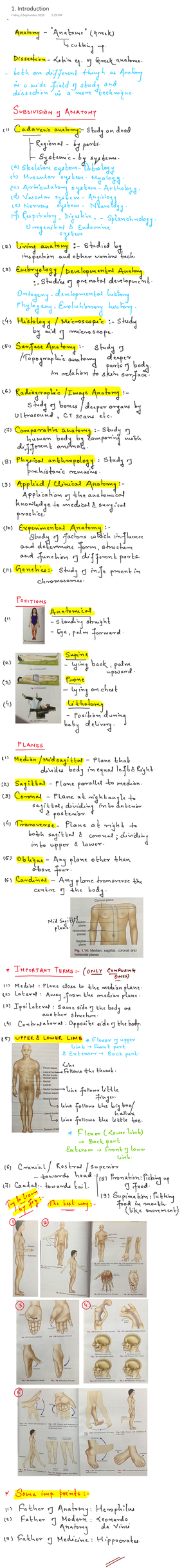 Atlas Of Medical Helminthology And Protozoology, 4E 2003 - Medicine ...