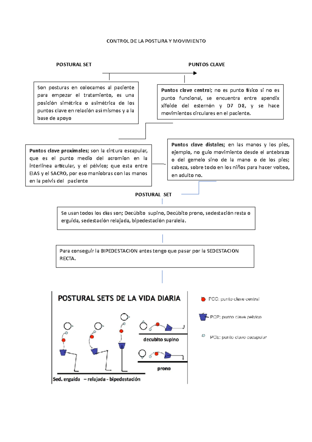 Control de postura - trata sobre la fisioterapia en paciente adulto ...