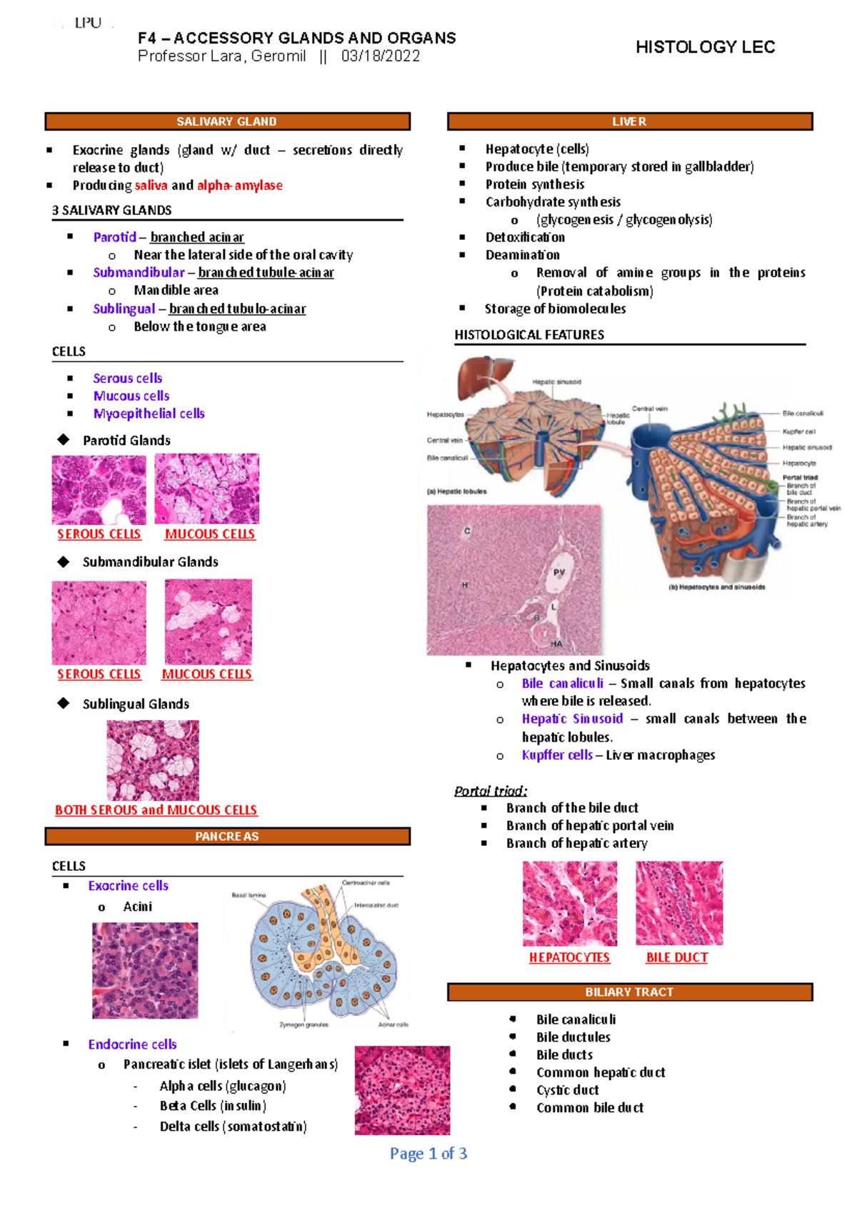 FIN-LEC-4 Accesory Glands - Human Histology - Studocu