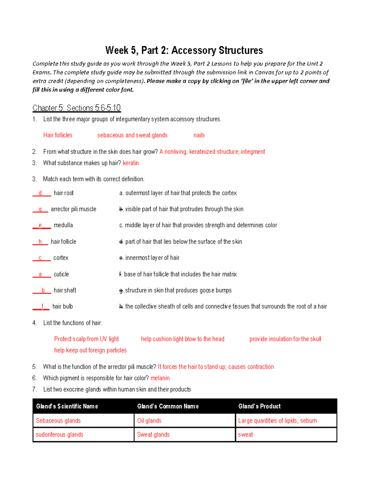 Week 5, Part 2 Accessory Structures Week 5, Part 2 Accessory
