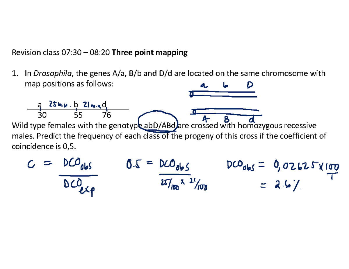 Revision 3 annotated 2019 - Revision class 07:30 – 08:20 Three point ...