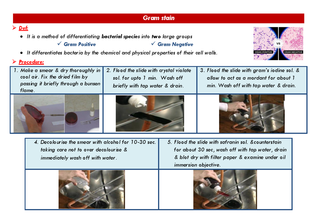 Gram stain - Medicine and Surgery course - Gram stain Def: It is a ...